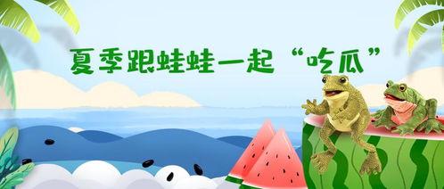 吃瓜的蛙蛙,吃瓜蛙蛙的趣味生活揭秘