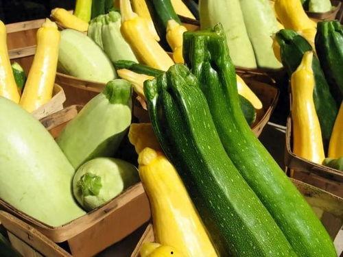 瓜哥吃瓜推荐的游戏,盘点那些让你停不下来的游戏盛宴