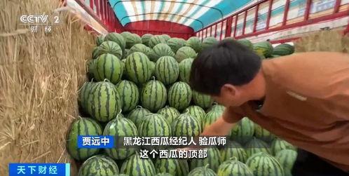 cfhd老公吃瓜,CFHD老公吃瓜背后的真相与争议