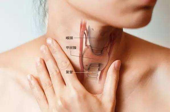 甲亢吃角瓜好吗