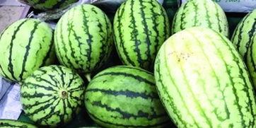 吃瓜吃的很快怎么形容,揭秘吃瓜群众的“快消”现象