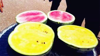 瓜瓜小号吃瓜爆料,娱乐圈吃瓜爆料背后的真相