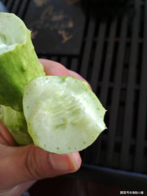 吃白玉瓜减肥,轻松享瘦的秘密武器