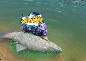 吃瓜捞鱼,吃瓜捞鱼，畅享田园乐趣