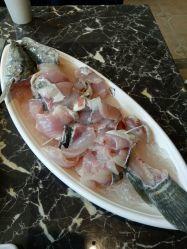 吃瓜捞鱼,吃瓜捞鱼，畅享田园乐趣