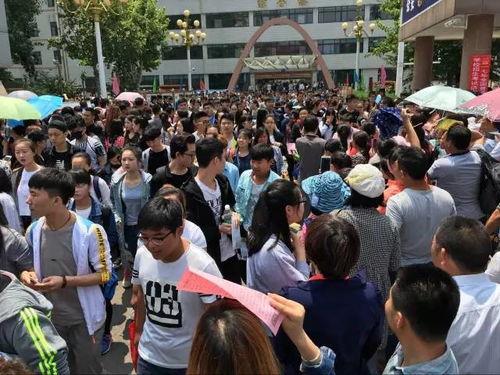 育才中学吃瓜事件,校园风波背后的真相探寻