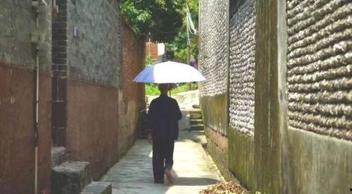 东关吃瓜群众事迹,见证时代变迁的民间传奇