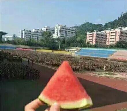 军训凉亭吃瓜,凉亭里的一抹瓜香时光