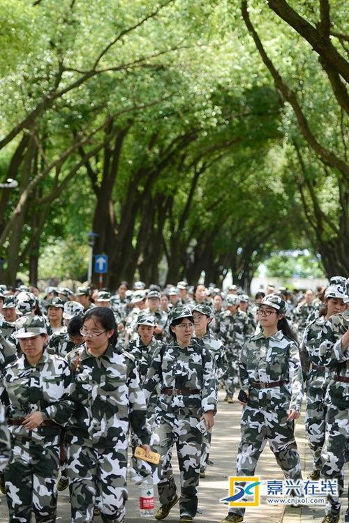 军训凉亭吃瓜,凉亭里的一抹瓜香时光