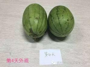 吃瓜长知识的,揭秘娱乐圈背后的故事