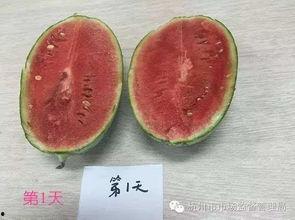 吃瓜长知识的,揭秘娱乐圈背后的故事