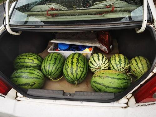 抱着瓜吃图像,品味夏日里的悠闲时光