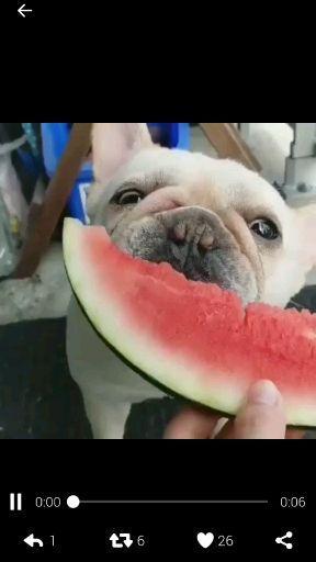 吃瓜围观心理,揭秘吃瓜围观背后的心理奥秘