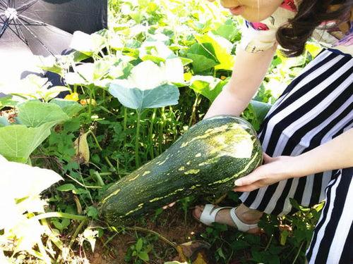 吃拉瓜的益处,养生保健的天然良方