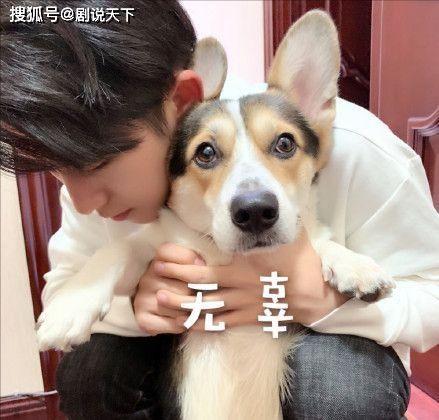 为啥吃瓜闹肚子,揭秘夏日消暑美食背后的健康隐患