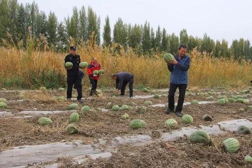 吃瓜群众小邢,揭秘娱乐圈那些事儿