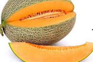 孕妇吃哈密瓜补铁吗,孕妇饮食新选择