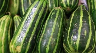 连续吃很多个瓜,连续吃瓜，揭秘娱乐圈那些事儿