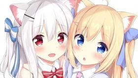 请你吃h瓜免费,尽享夏日清凉时光