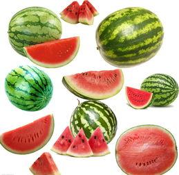 南体吃瓜,揭秘校园热点事件背后的真相