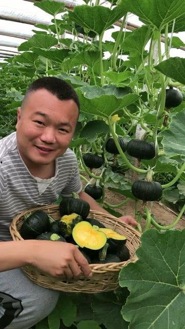 南体吃瓜,揭秘校园热点事件背后的真相