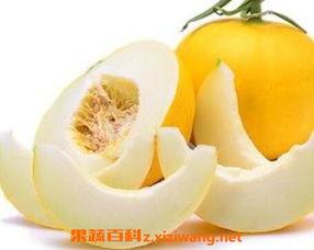 吃伊丽莎白瓜好吗,伊丽莎白瓜的营养价值与美味体验