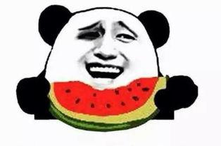 修真界吃瓜群众,吃瓜群众眼中的修真江湖