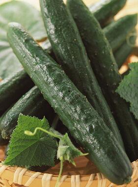 何四吃瓜,揭秘娱乐圈幕后故事