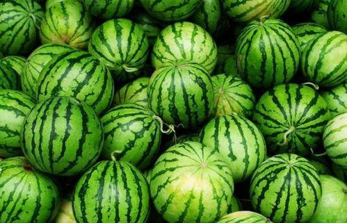 何四吃瓜,揭秘娱乐圈幕后故事