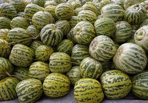 吃瓜会湿气重,湿气重？揭秘夏日消暑与养生之道