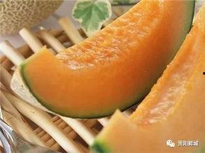 吃完带鱼吃哈密瓜,味蕾的双重盛宴