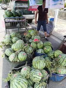 南和最新吃瓜事件,揭秘背后真相与热议焦点