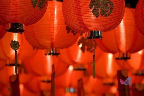 吃瓜的小年